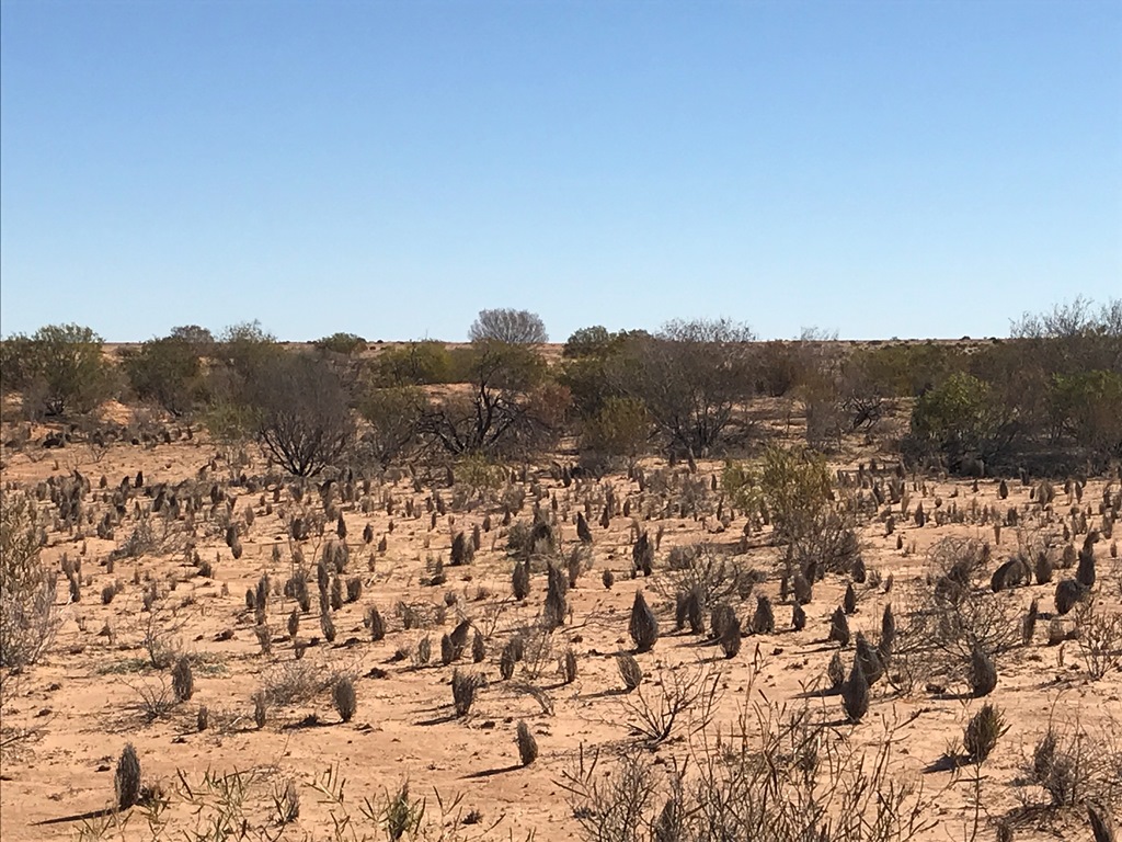 2019-Madigan-Line-Simpson-Desert-TRIP-2192.jpg