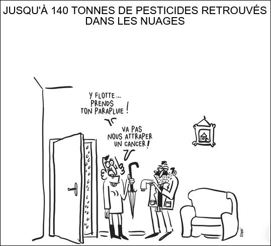 text alternatif
