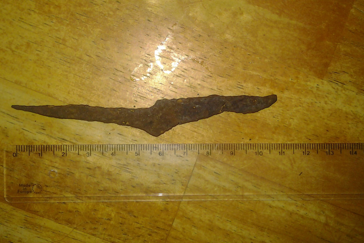 Puukonruoto