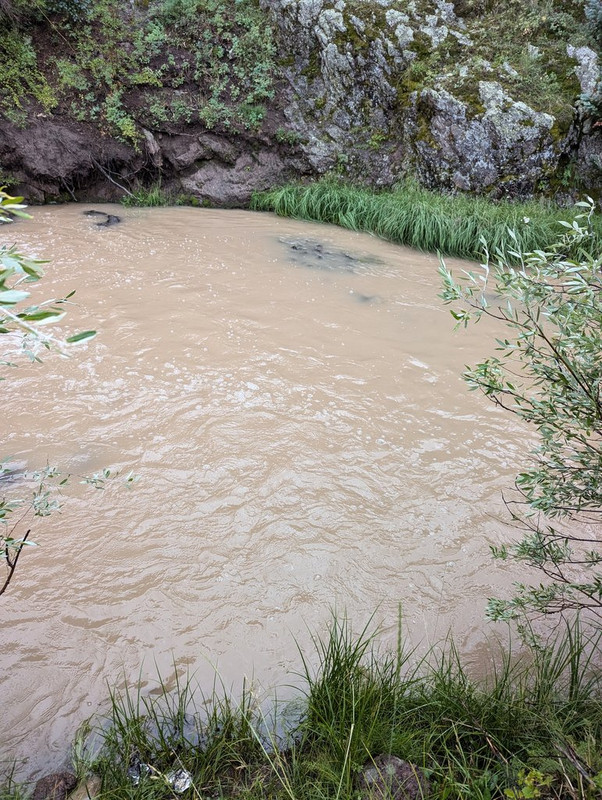 PXL_20240812_224145792.MP