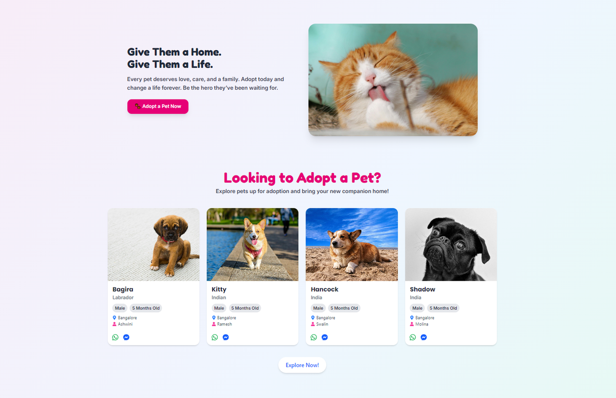 Petsera — MERN Pet Adoption & Donation Platform screenshot 2
