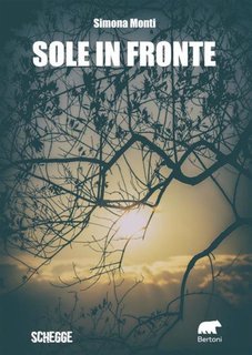 Simona Monti - Sole in fronte (2024)