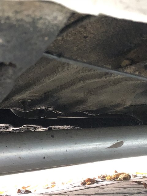 5A7CFD59-1ACF-42B4-B438-4B9FD108215F