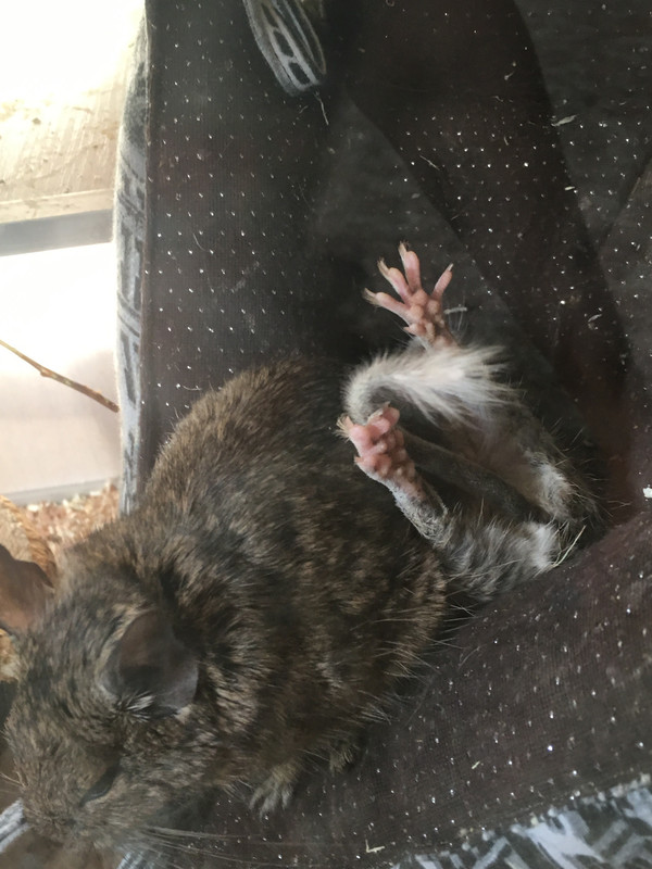 789D87FF-1A65-438F-B7D9-D3BAF743905C