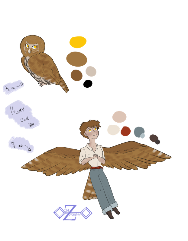 Pygmy-Owl-Bb.png
