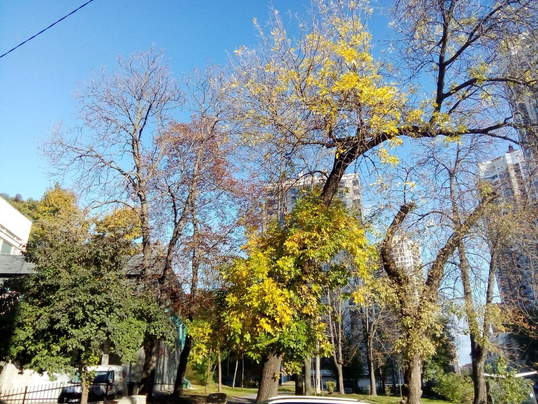 photo_2024-10-19 7.22.51 пп