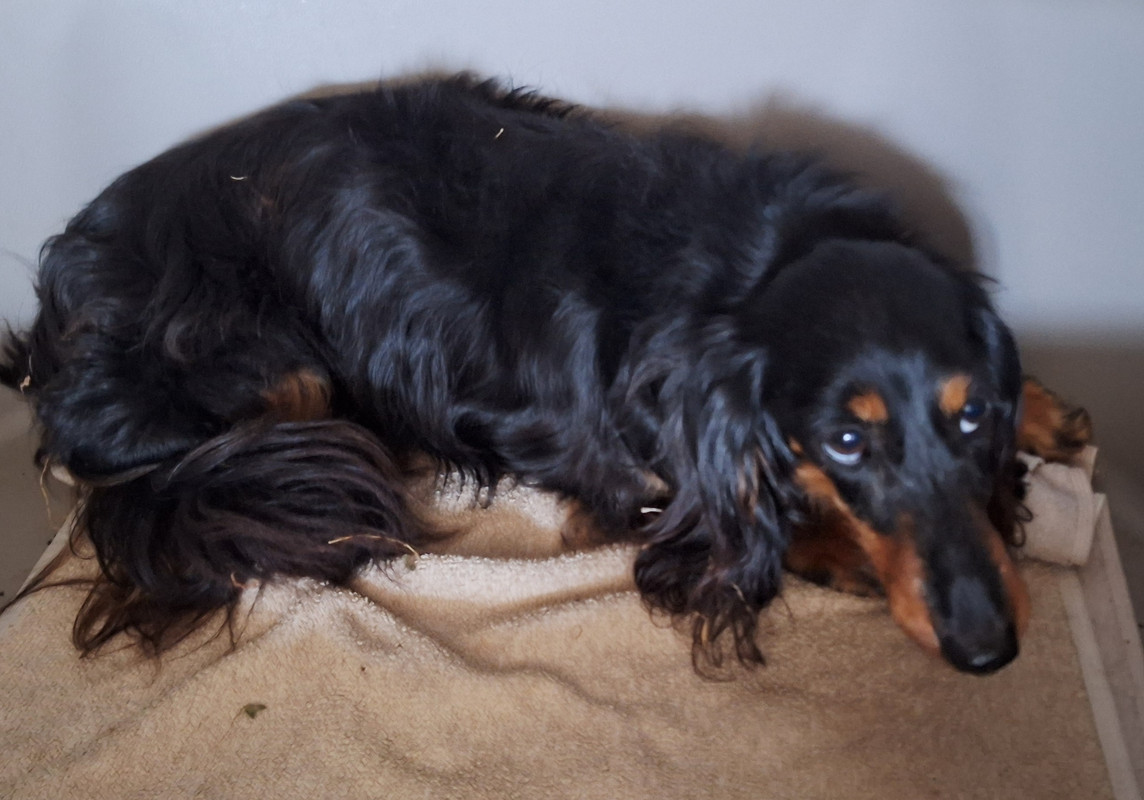 [Image: 20250818-094747.jpg]