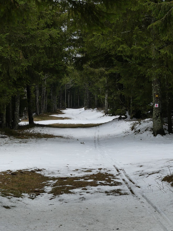 P1090031.jpg