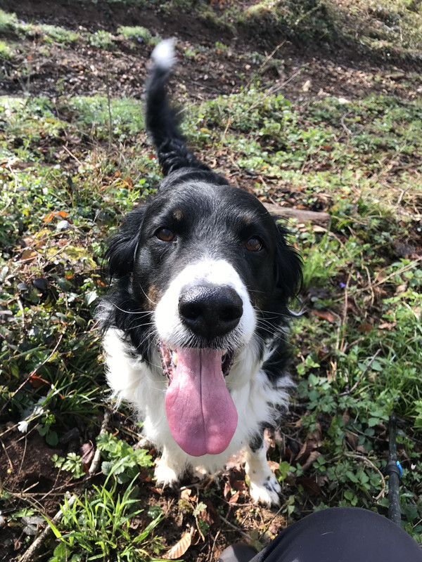 F0371C09-0287-49B3-B347-9BA283069200