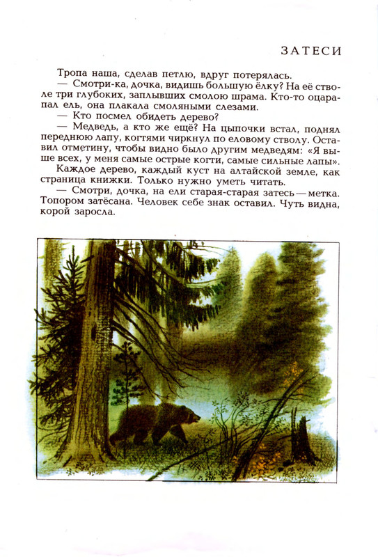 Goryshin-Gleb-Na-altajskoj-trope-222354-19