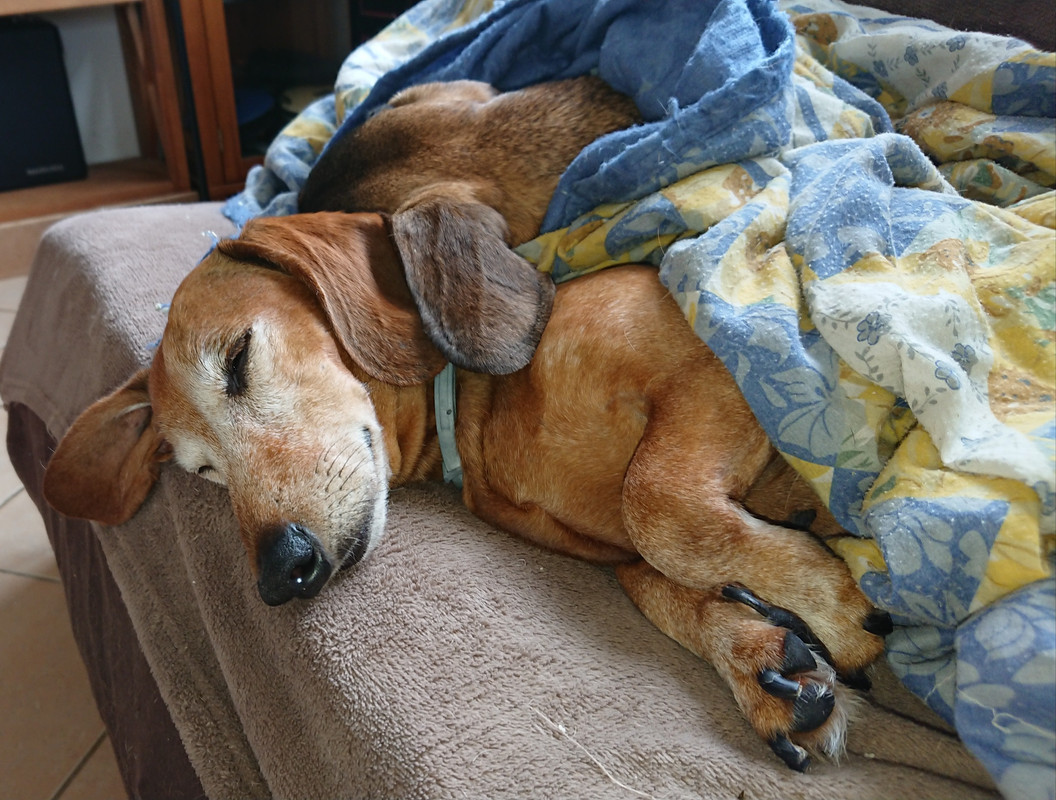 [Image: 20220625-145411.jpg]