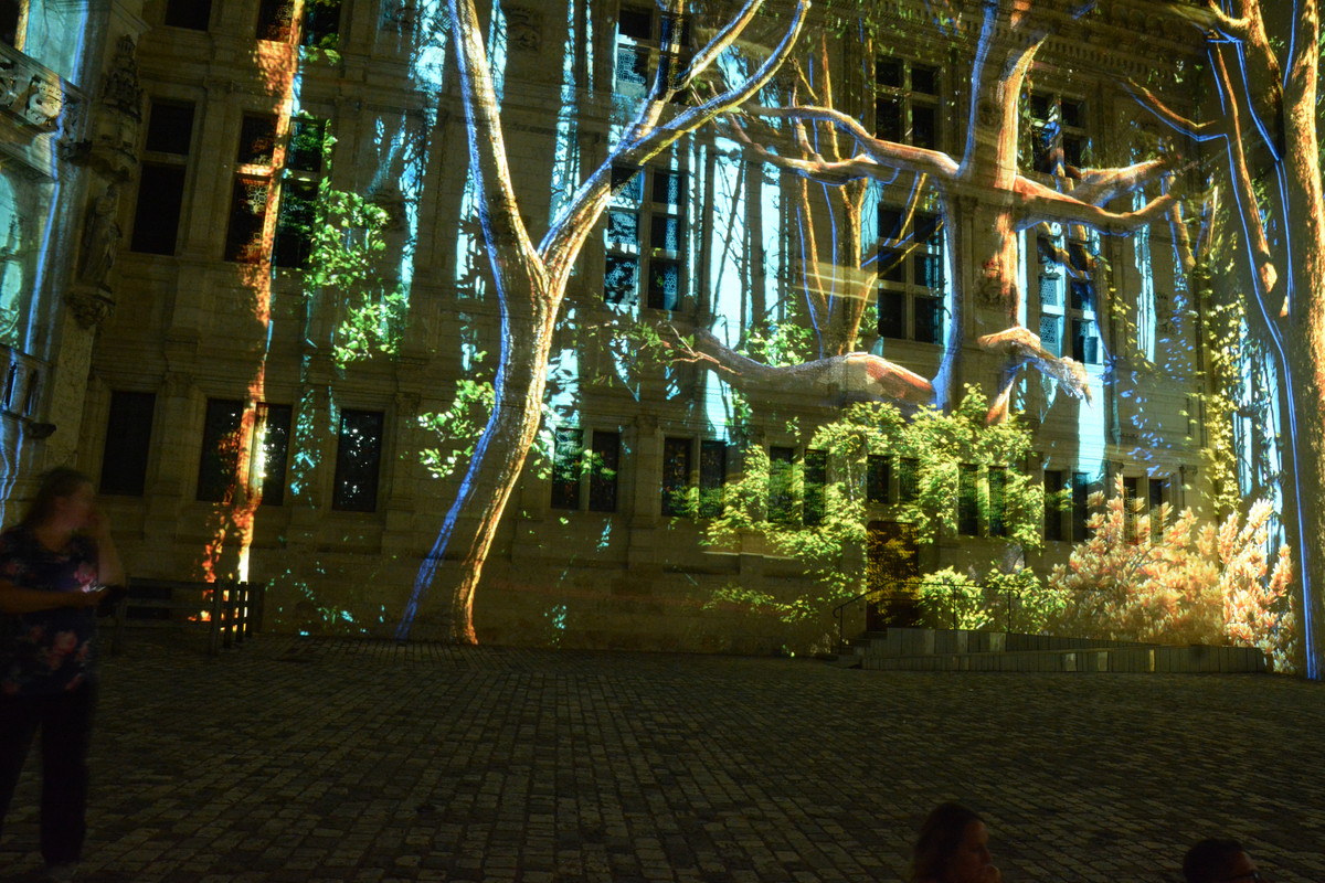 05.29 - DSC_7972 (Ater)