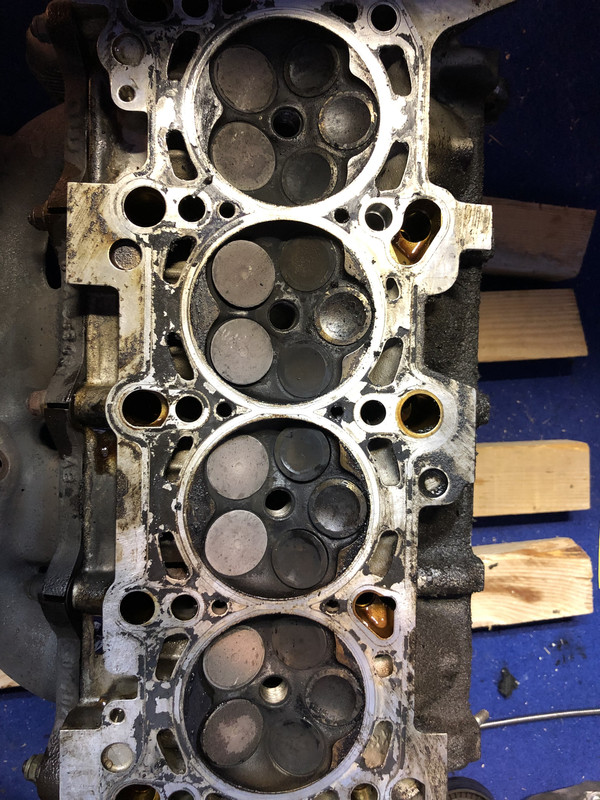 08DFE8C8-5A31-49FD-BDF8-EA8877A91DBA