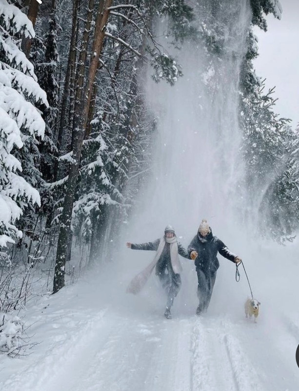 Screenshot_20230301_002841_Pinterest