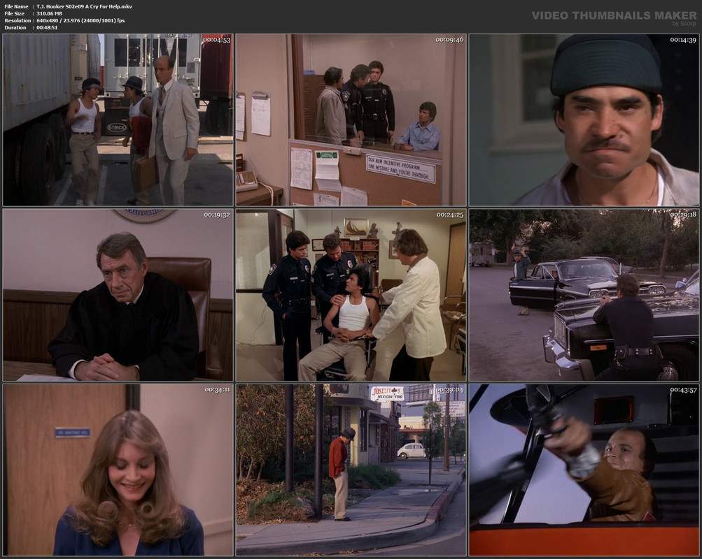 T.J. Hooker S02e09 A Cry For Help.mkv