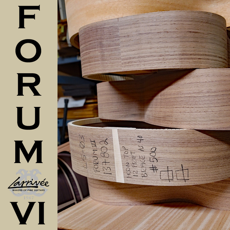 Larrive-Fourm-VI-12.jpg