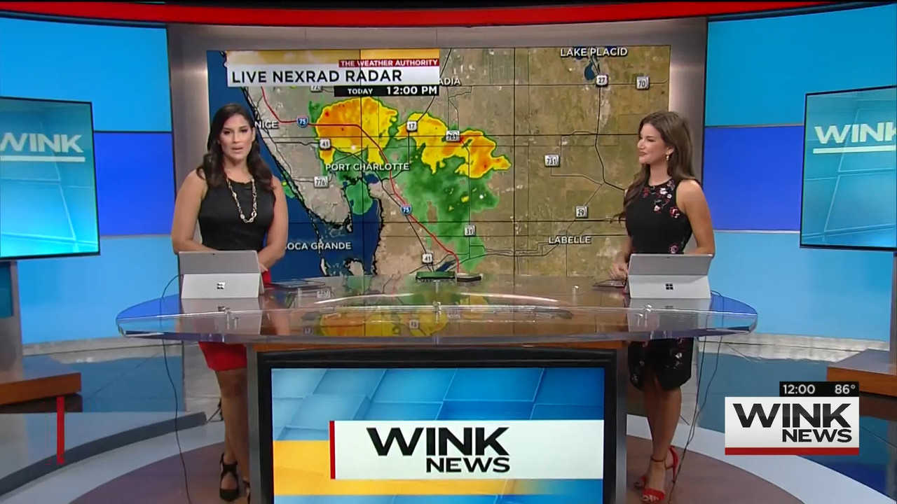 11.10 - 17.00.00 - WINK Noon News.(1).ts_snapshot_04.00.663