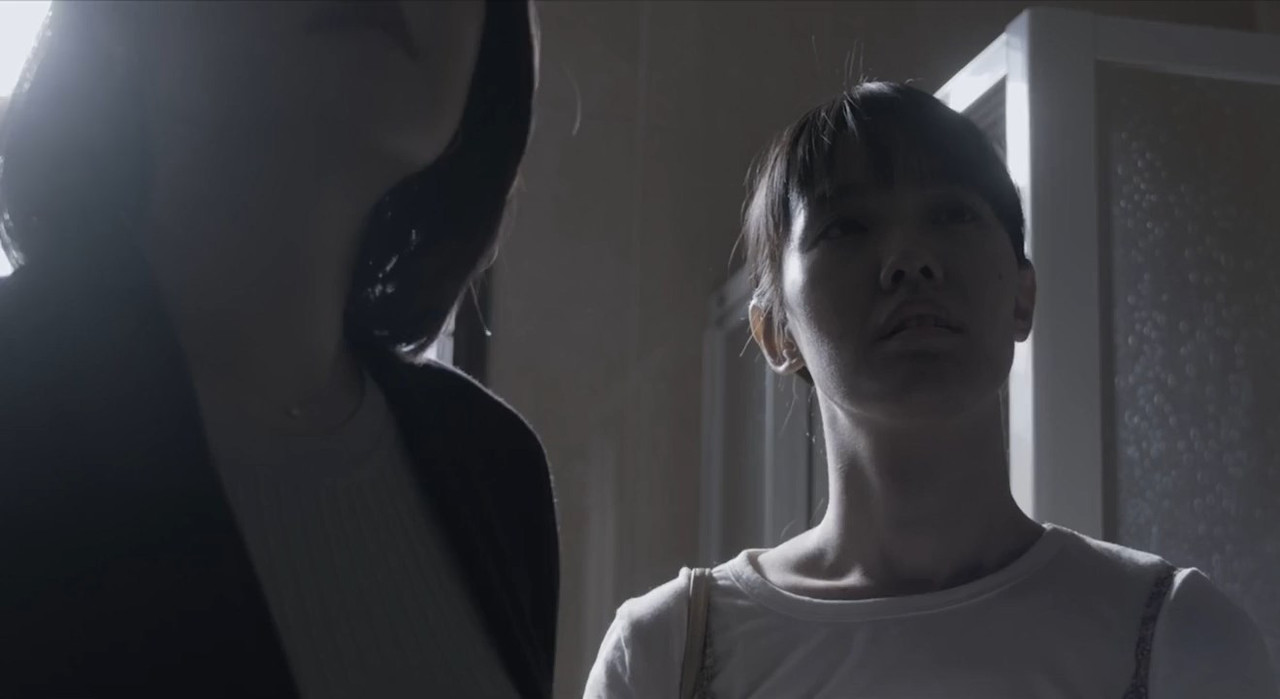 Two Sisters 2019 WebRip [Hindi + Tamil + Telugu + Chinese] 480p 720p ESub Screenshot