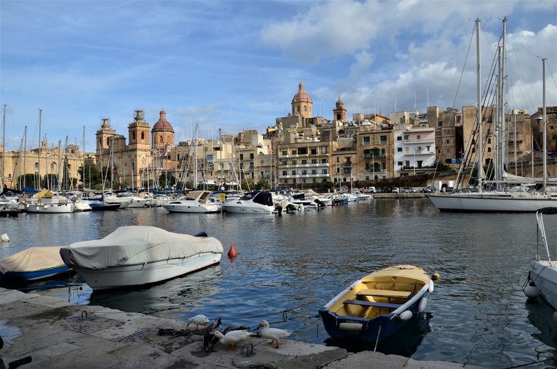 Malta y sus pueblos-2018 - Blogs de Malta - ISLA (SENGLEA), BIRGU Y KALKARA-26-11-2018 (8)
