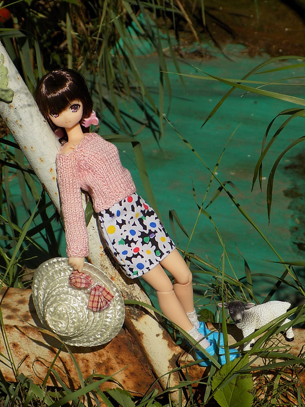 Дачное июль 2016 121