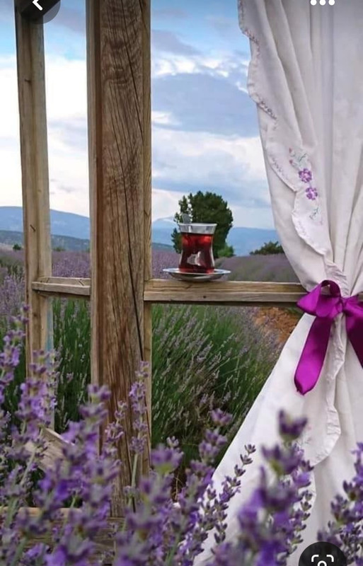 Screenshot_20230710_231822_Pinterest