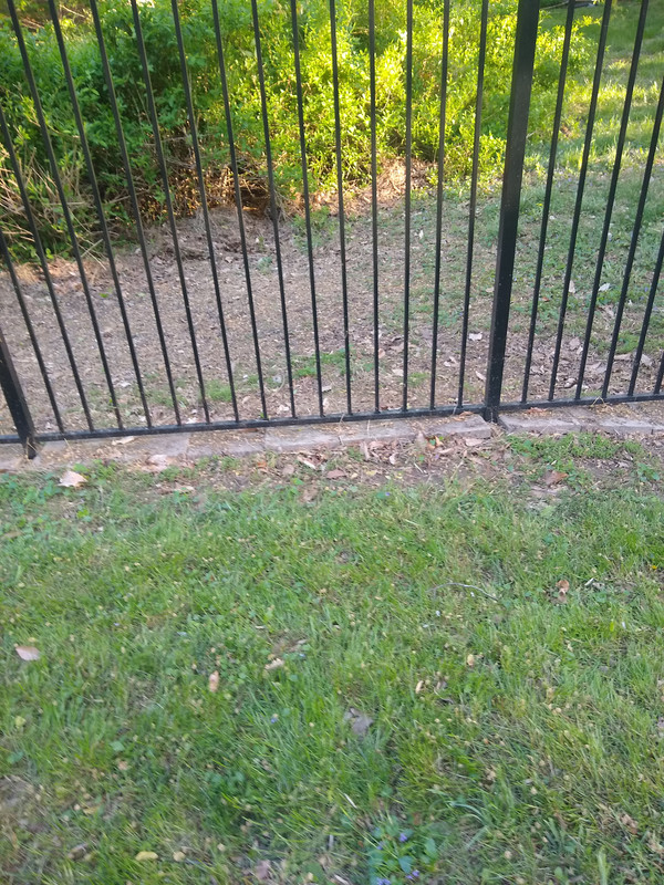 IMG_20210422_183033907