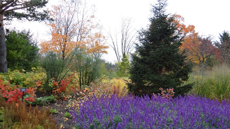 15470943787-c13dbb4480-b