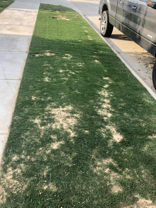 EE2D2CC5-C50C-49FE-92C7-CFEFA268D40C