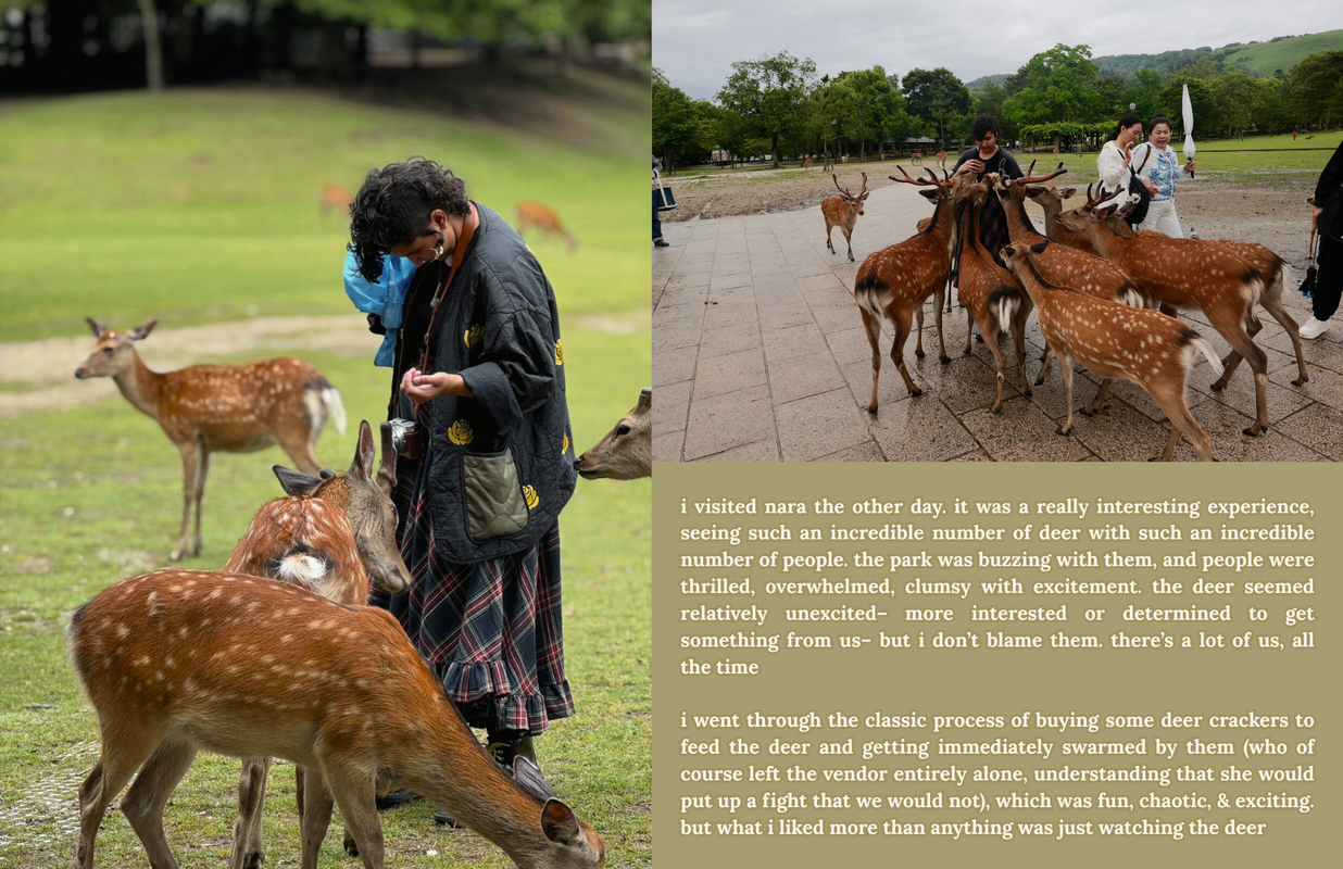 The first page of a zine titled 'the deer in nara are easy to love'.