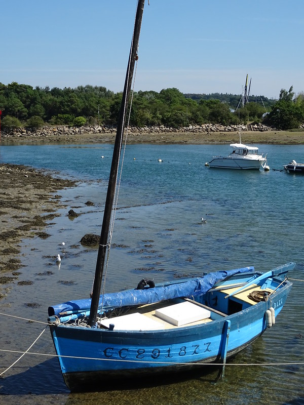 blue-solo-canoe.jpg