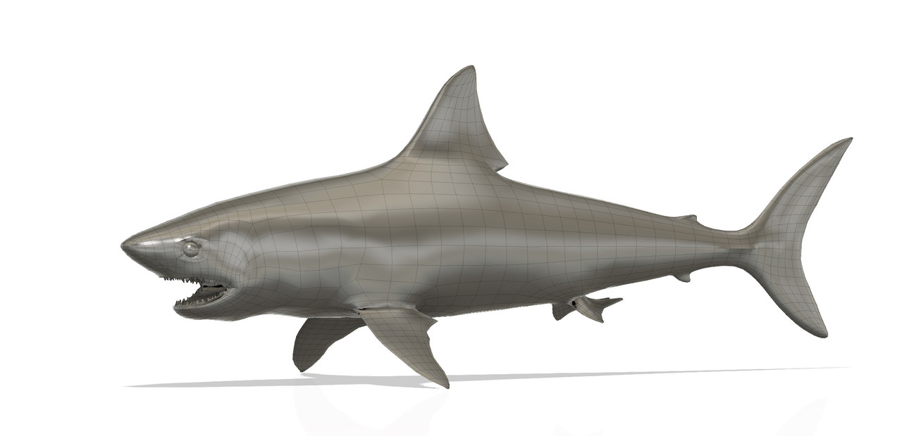 Requin 3D Capture-d-e-cran-2023-12-26-a-20-49-42