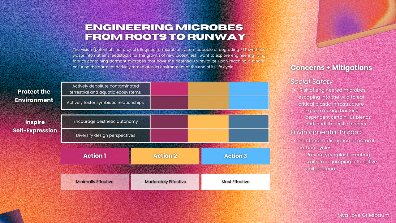 Governance Assignment
