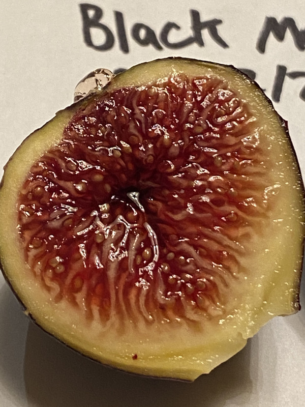 951D154F-7216-488F-97AB-A66286BB2173