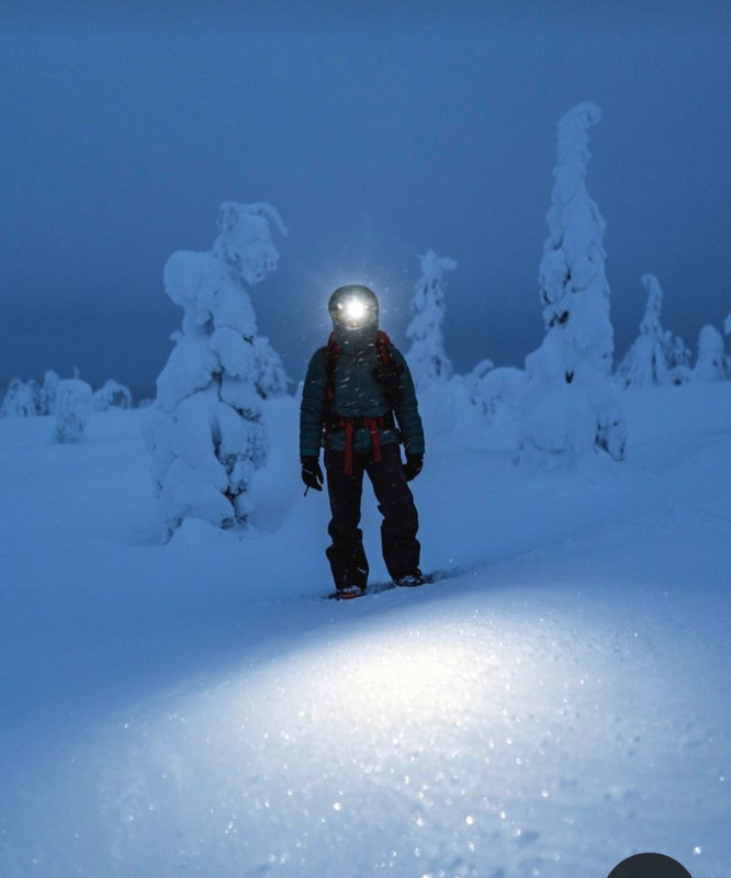 Screenshot_20231213_224744_Pinterest