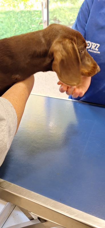 [Image: 20251014-173203.jpg]