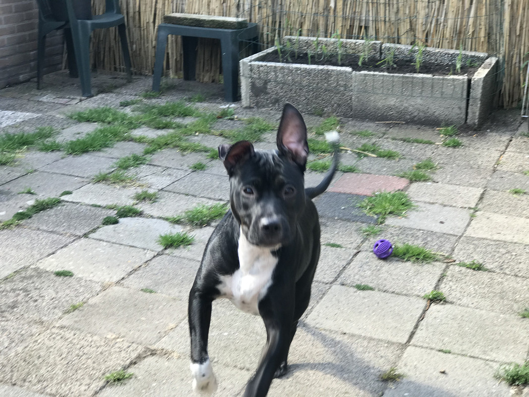 AC33A386-EB4B-4560-83BE-FF3FD5EDB61B