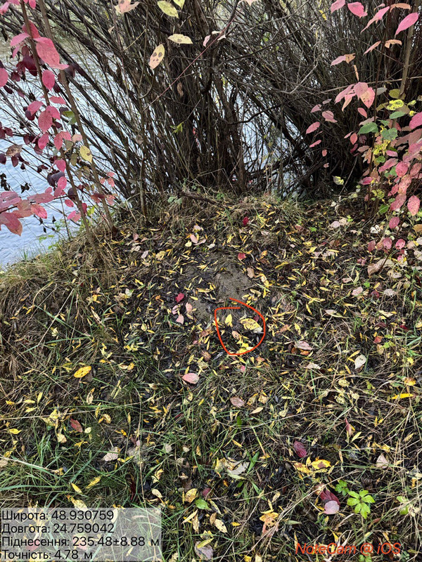 c4a065095ccbc324df0341b0ed54428d76a6