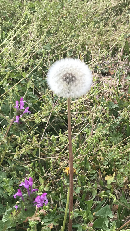 A01ABEF0-D613-404B-8721-1ED23ED6400E