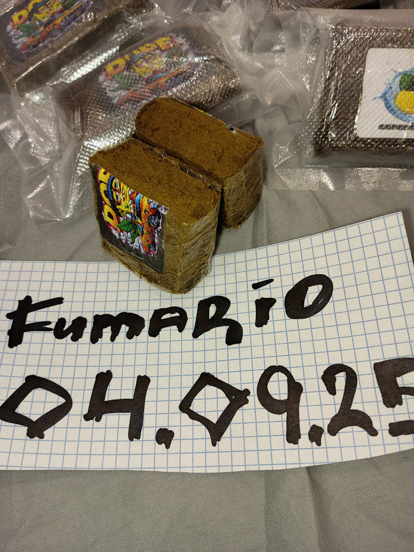 IMG_20250905_163435_427