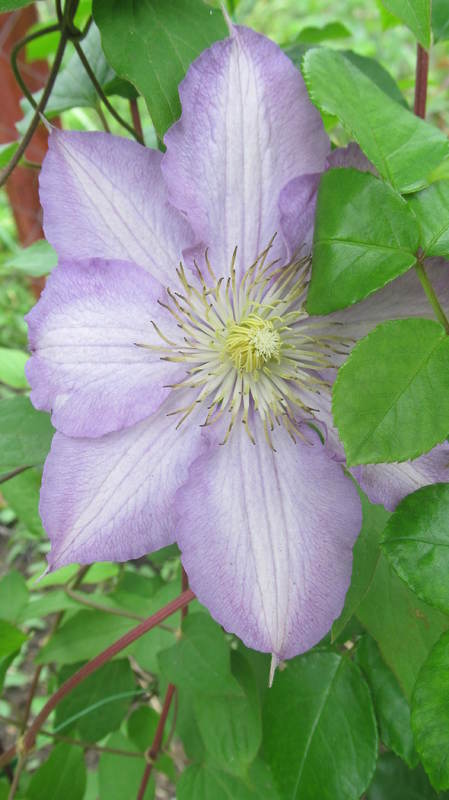018
