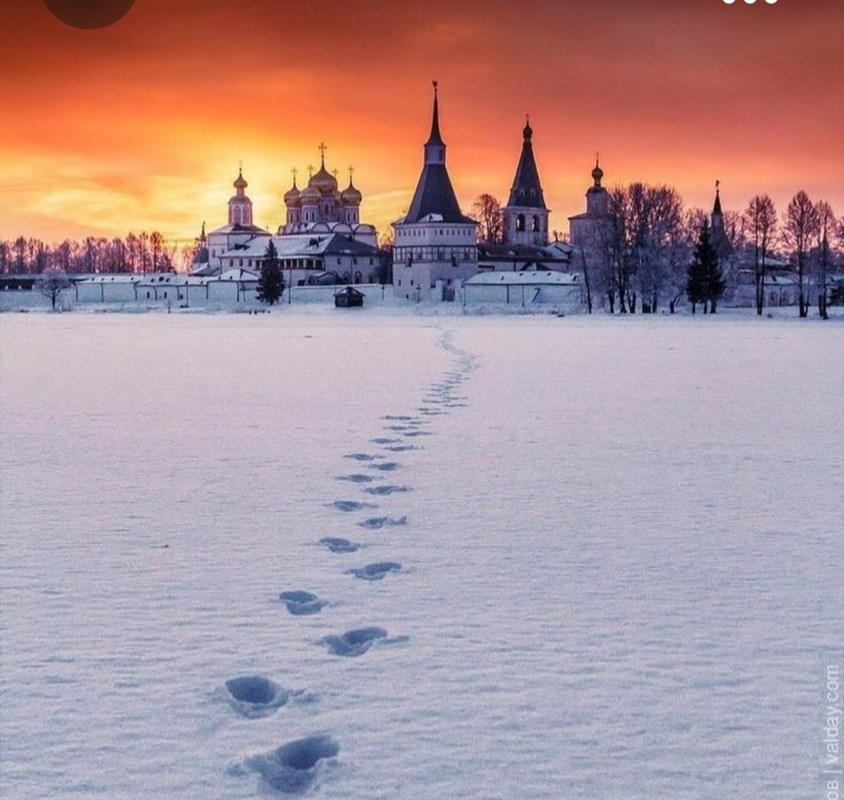 Screenshot_20231017_192856_Pinterest