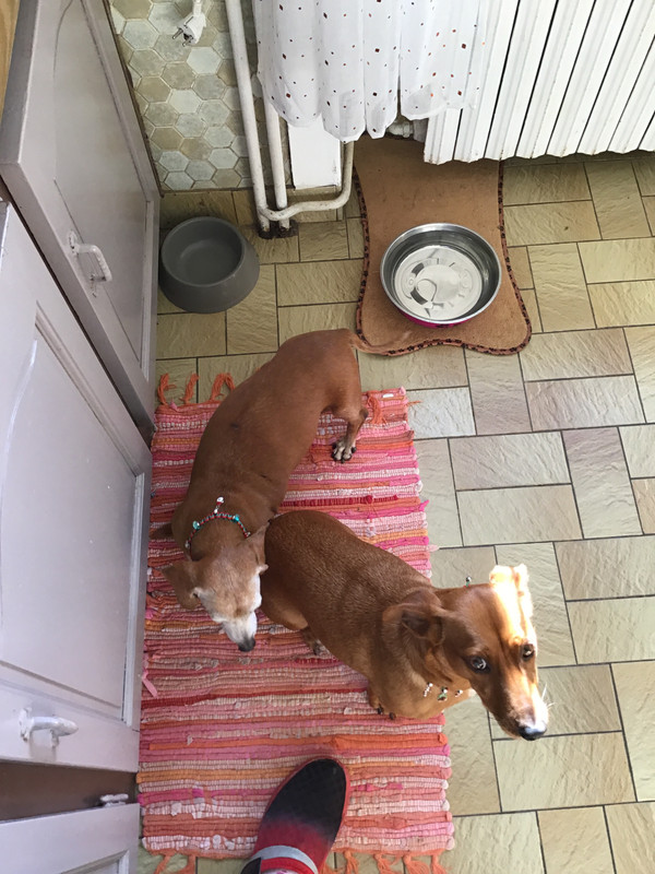 [Image: F905-C742-B891-41-E6-9-CCB-4-D6598833-D4-C.jpg]