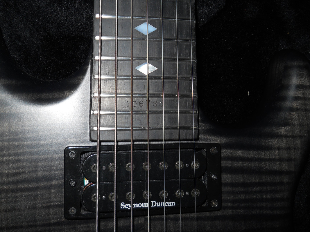 DSCN0235