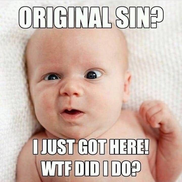 [Image: Origs.jpg]