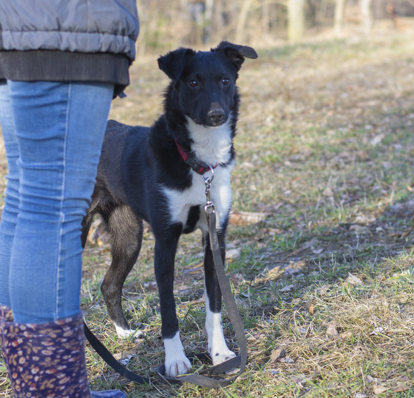 Дакота_06_18_15