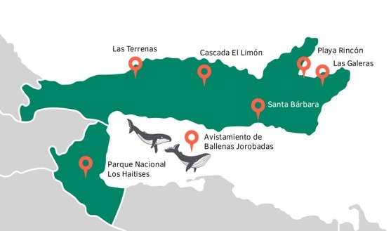 Avistamiento de Ballenas Jorobadas. Samaná. Excursiones - Foro Punta Cana y República Dominicana