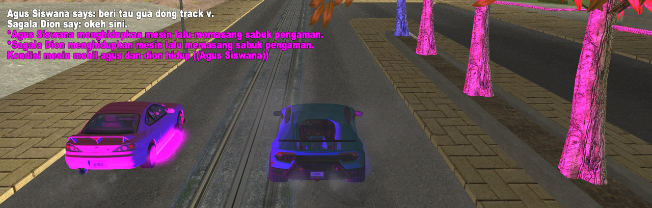 srs0.png
