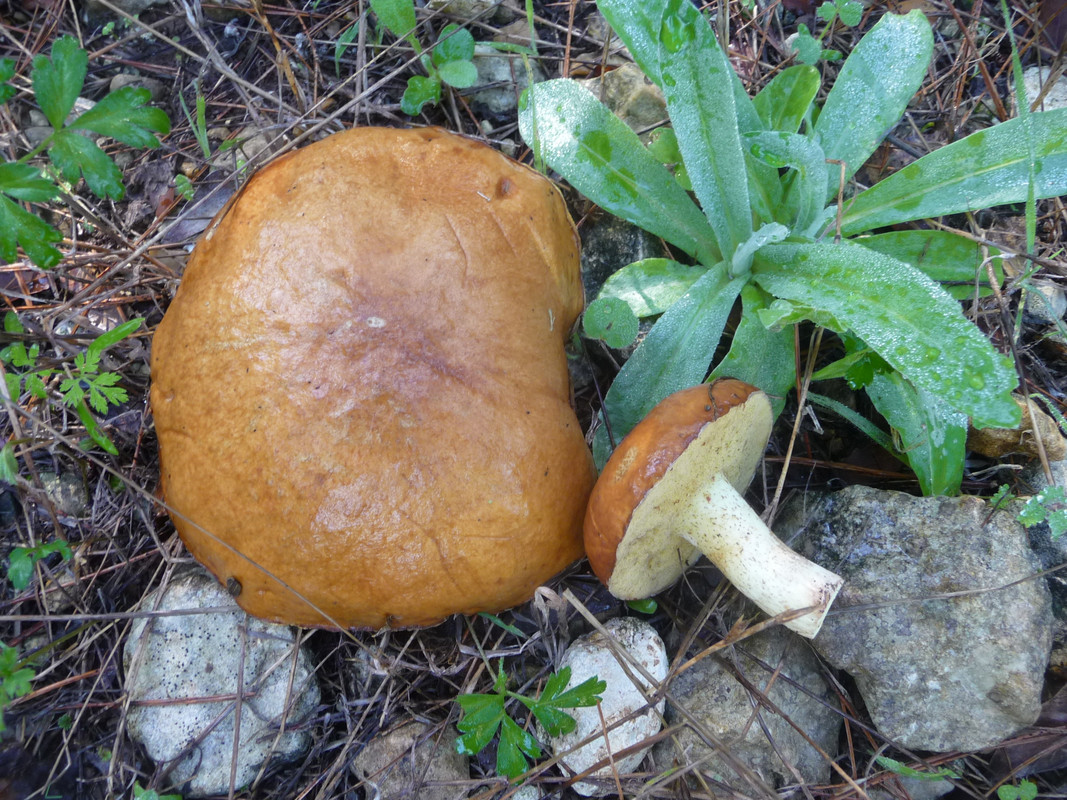 P1200797 — Postimages