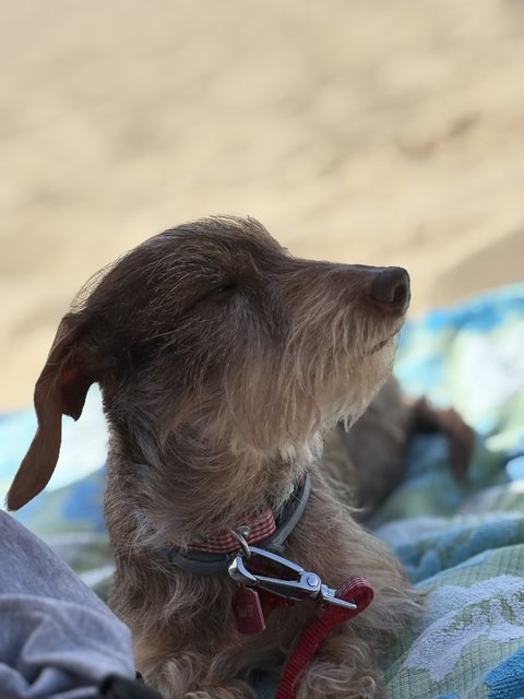 [Image: IMG-0538.jpg]