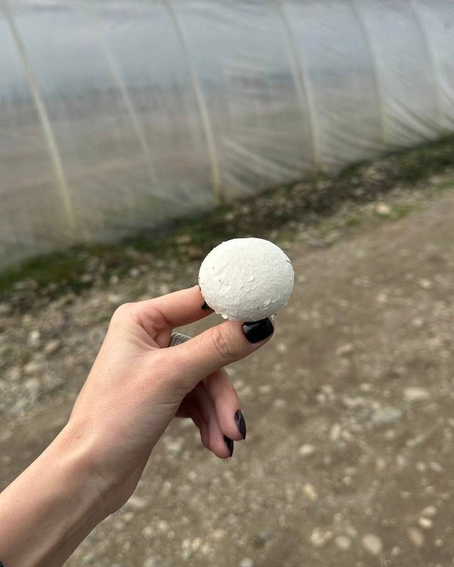 photo_2024-03-16_19-26-14